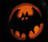 bat-sm.jpg (29992 bytes)