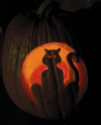 cat-sm.jpg (34767 bytes)