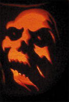 face-sm.jpg (49992 bytes)