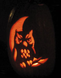 owl-sm.jpg (12191 bytes)